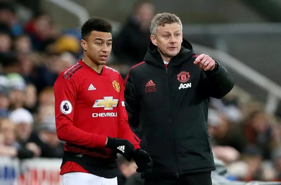 的国内联赛 的国内联赛