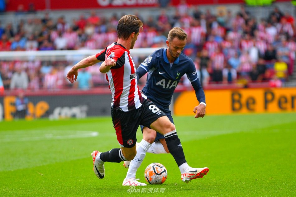 高荣誉的中 高荣誉的中